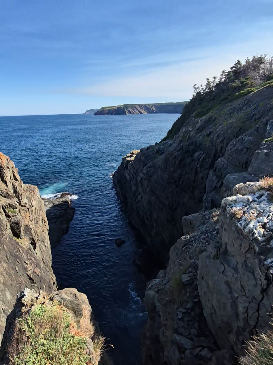 @NLGIRL🇨🇦