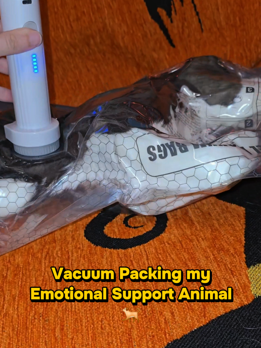 @Forest Spirit Collects