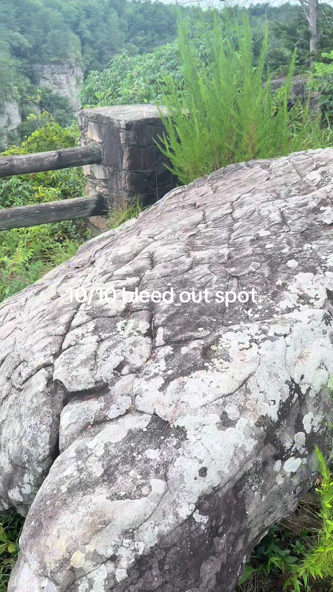 @Hikerdnd