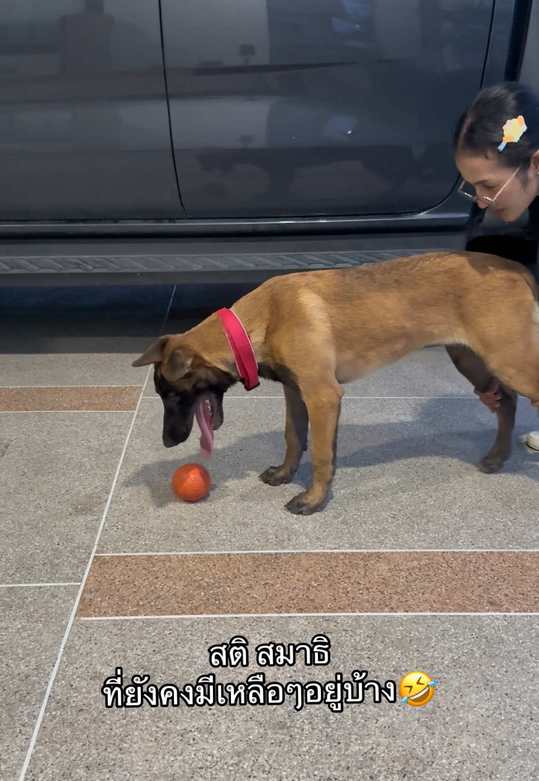 @พี่เรนเจอร์กับน้องเรนจี้