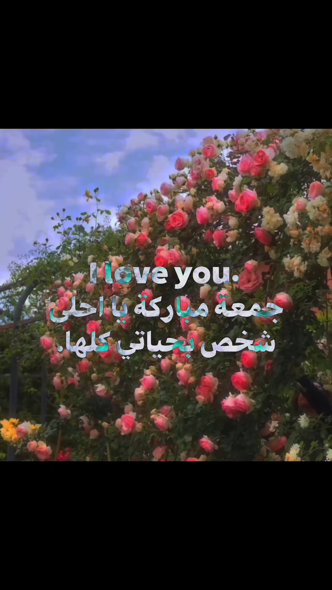 @"غيث" (مواطن شريف جداً)