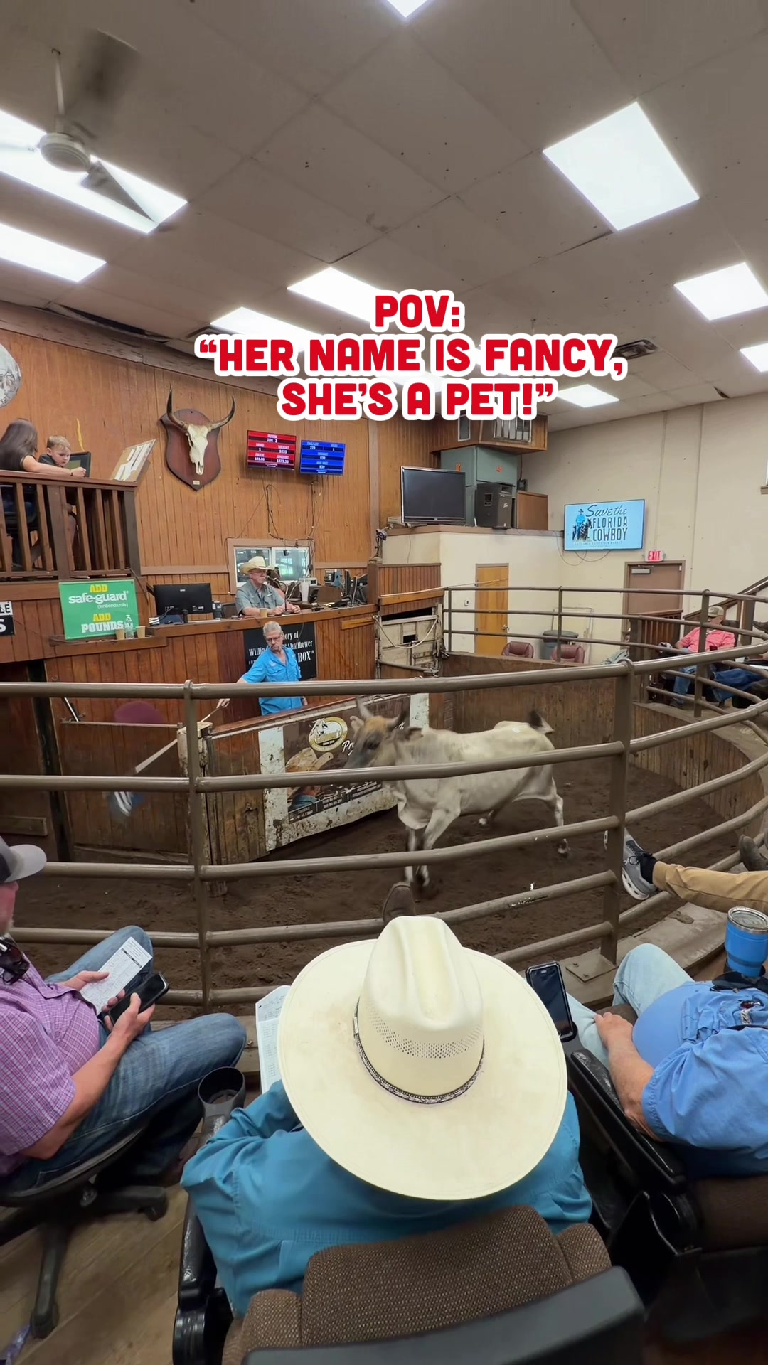 @Cattlemen’s Livestock Market