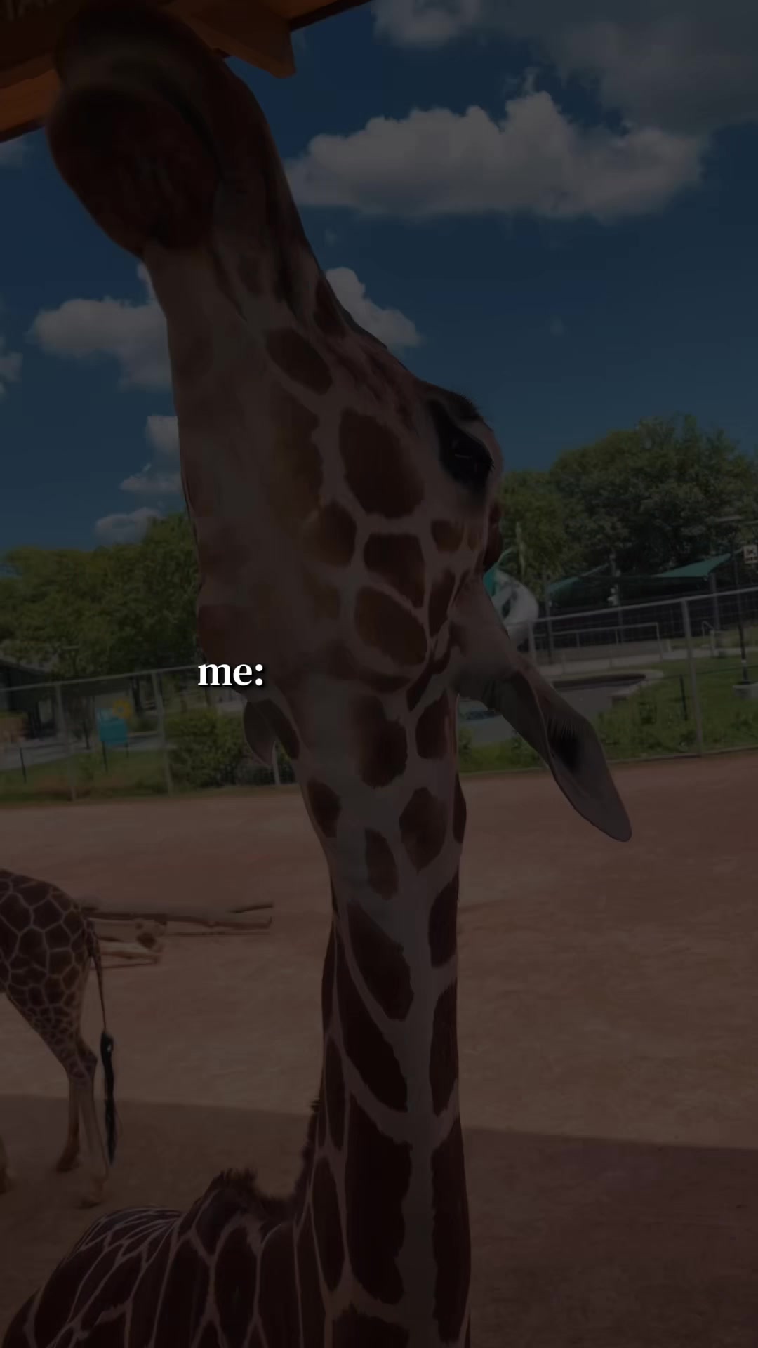 @J://💚