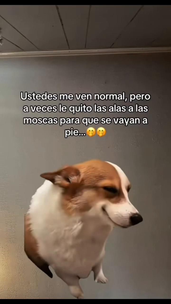 @𝐸𝒹𝑔𝒶𝓇 M