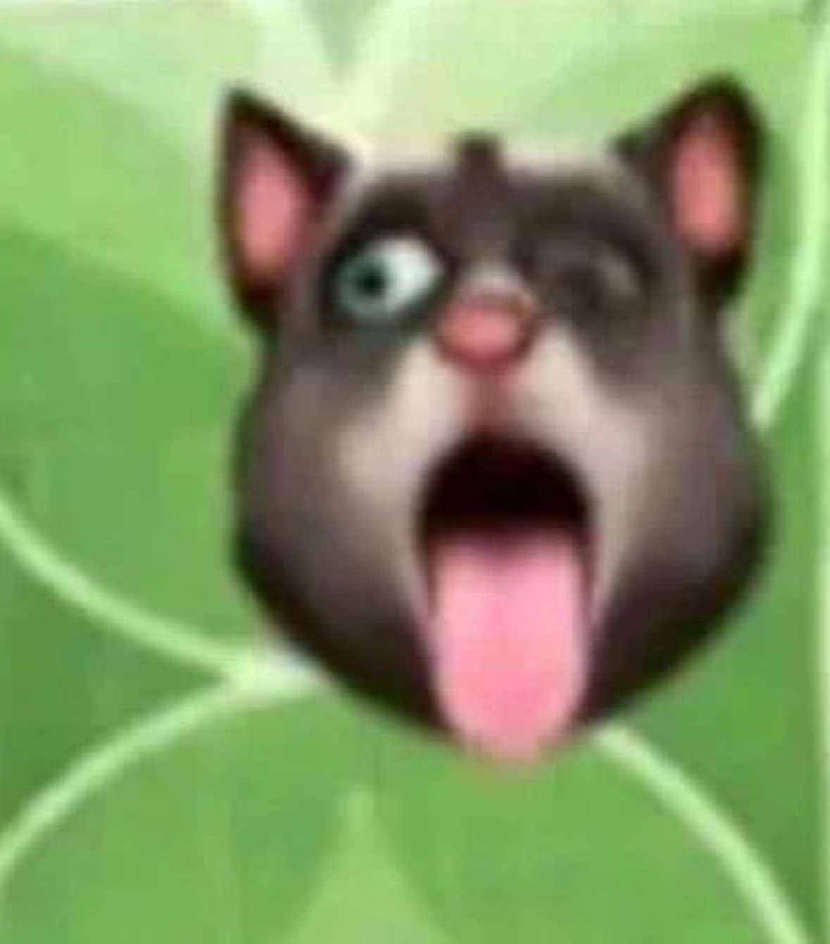@соня момо