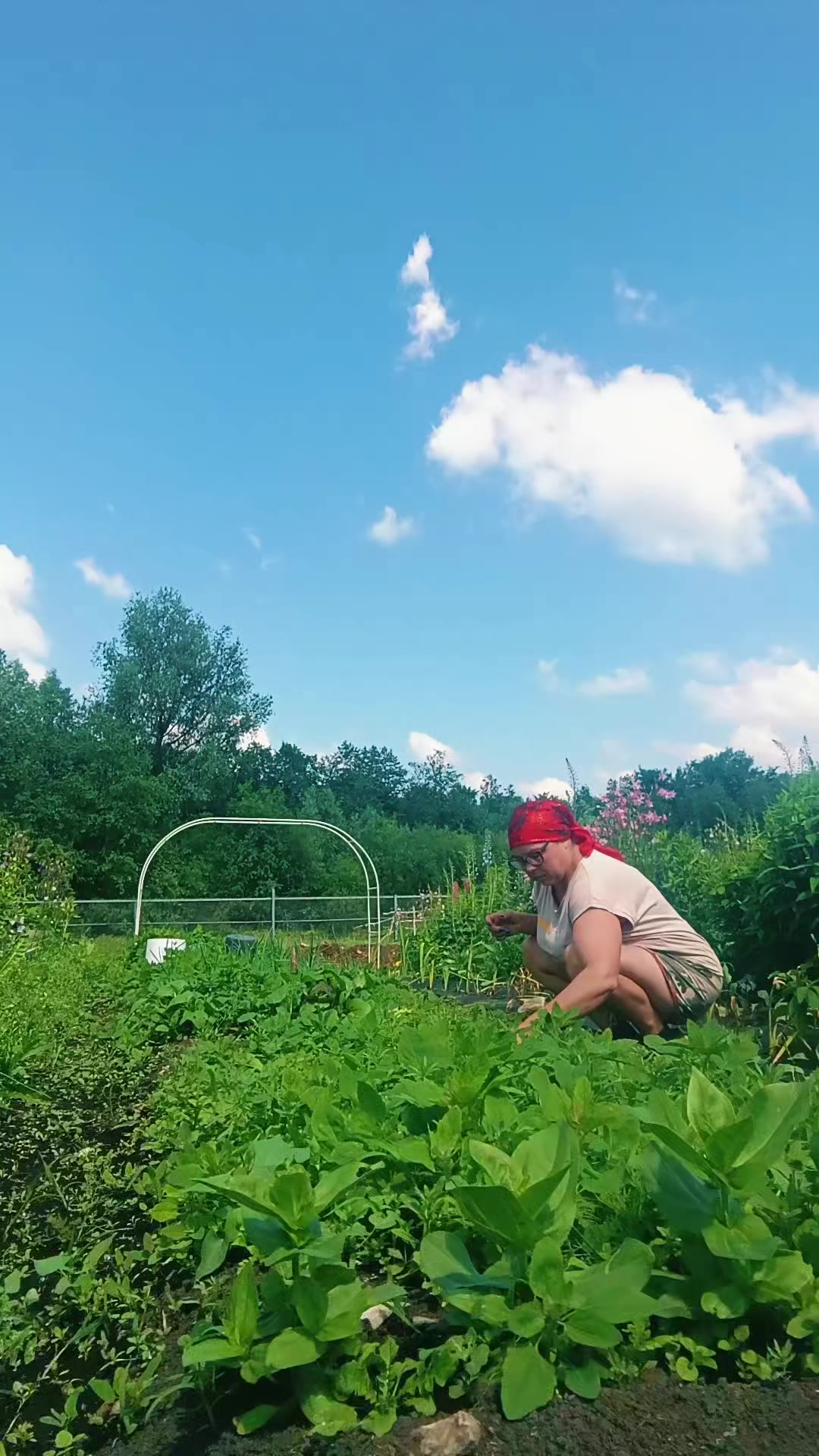 @Алёнушка