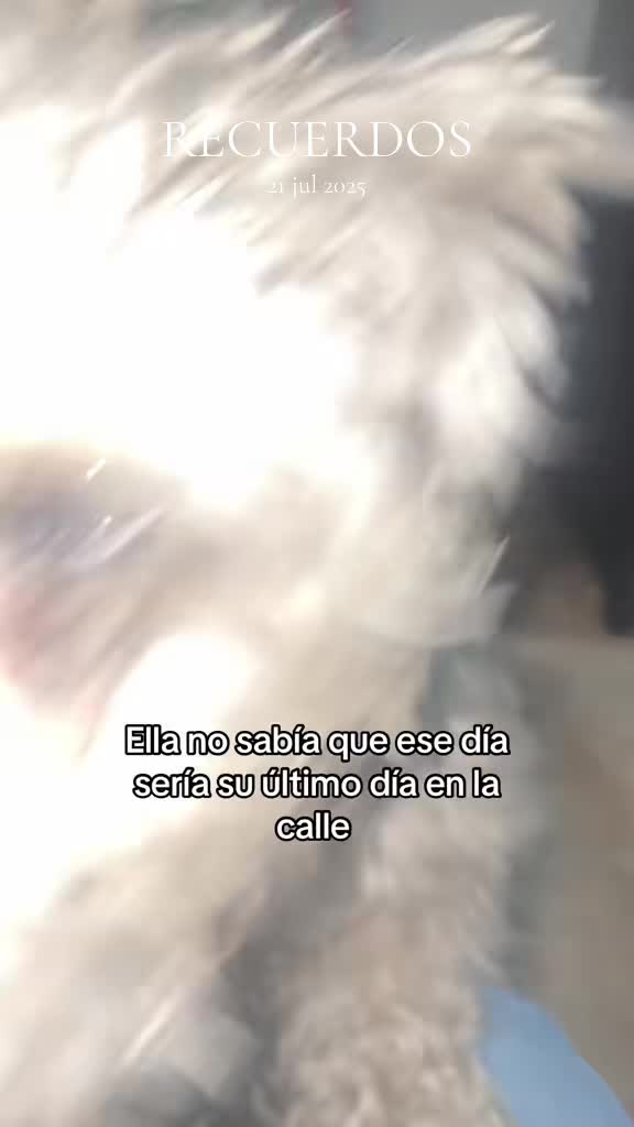@Rosario_12🥀
