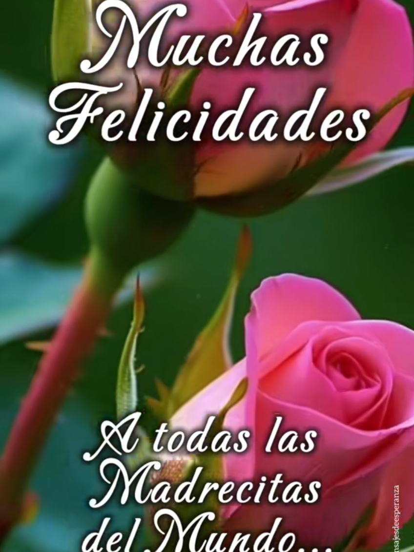 @Mary Elena