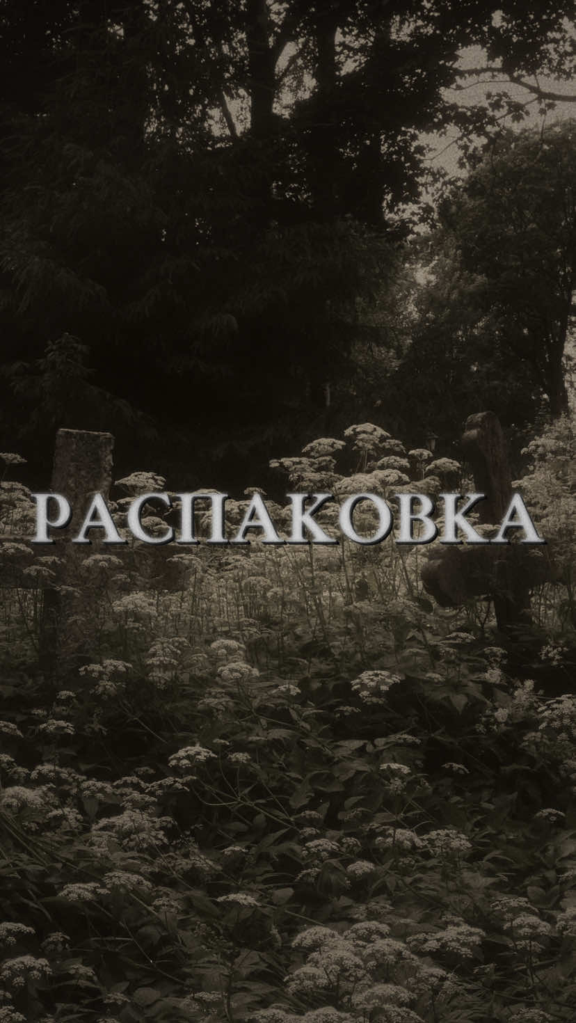 @༒Алиса Белладонна༒