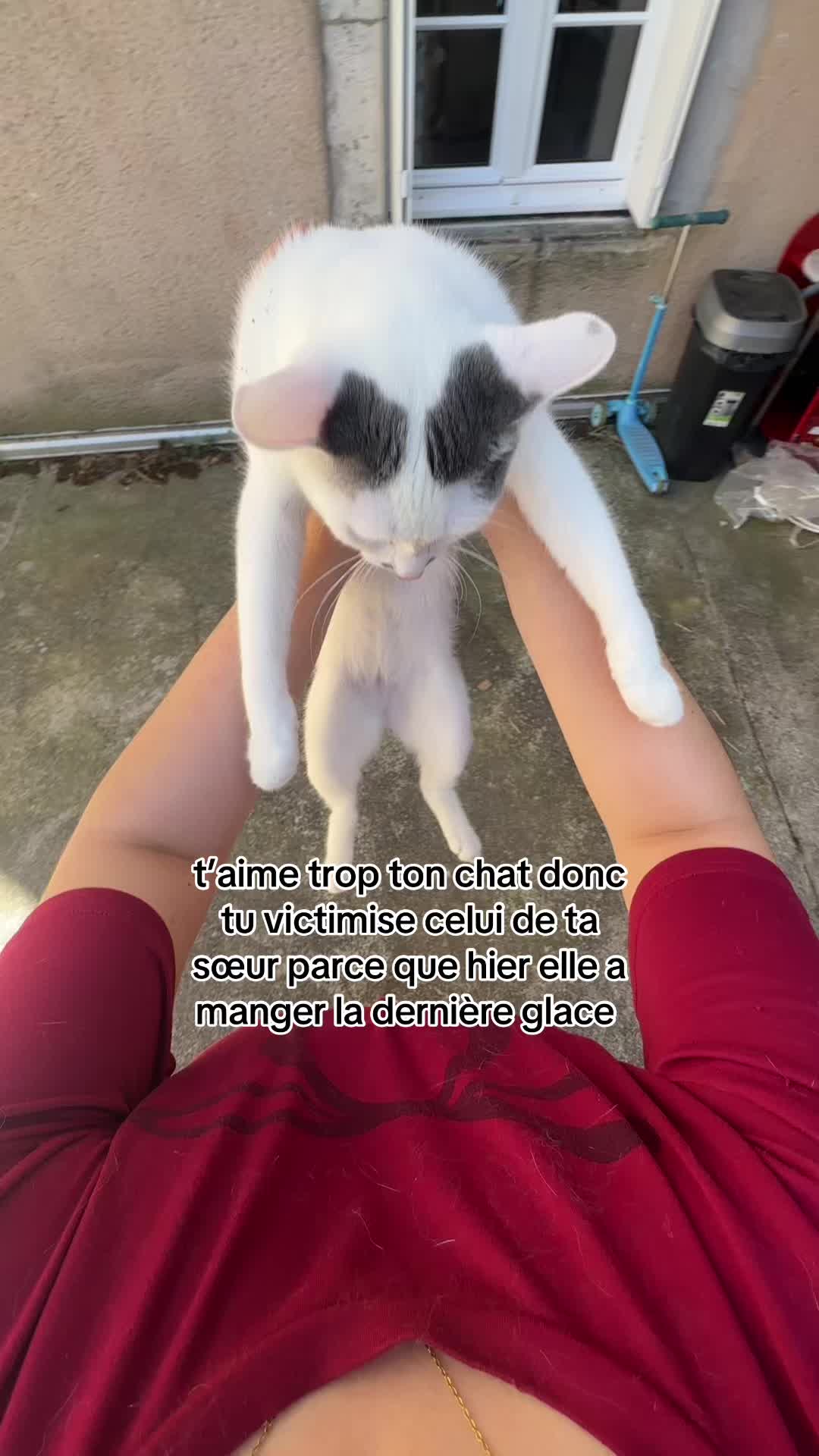 @🍃🍃