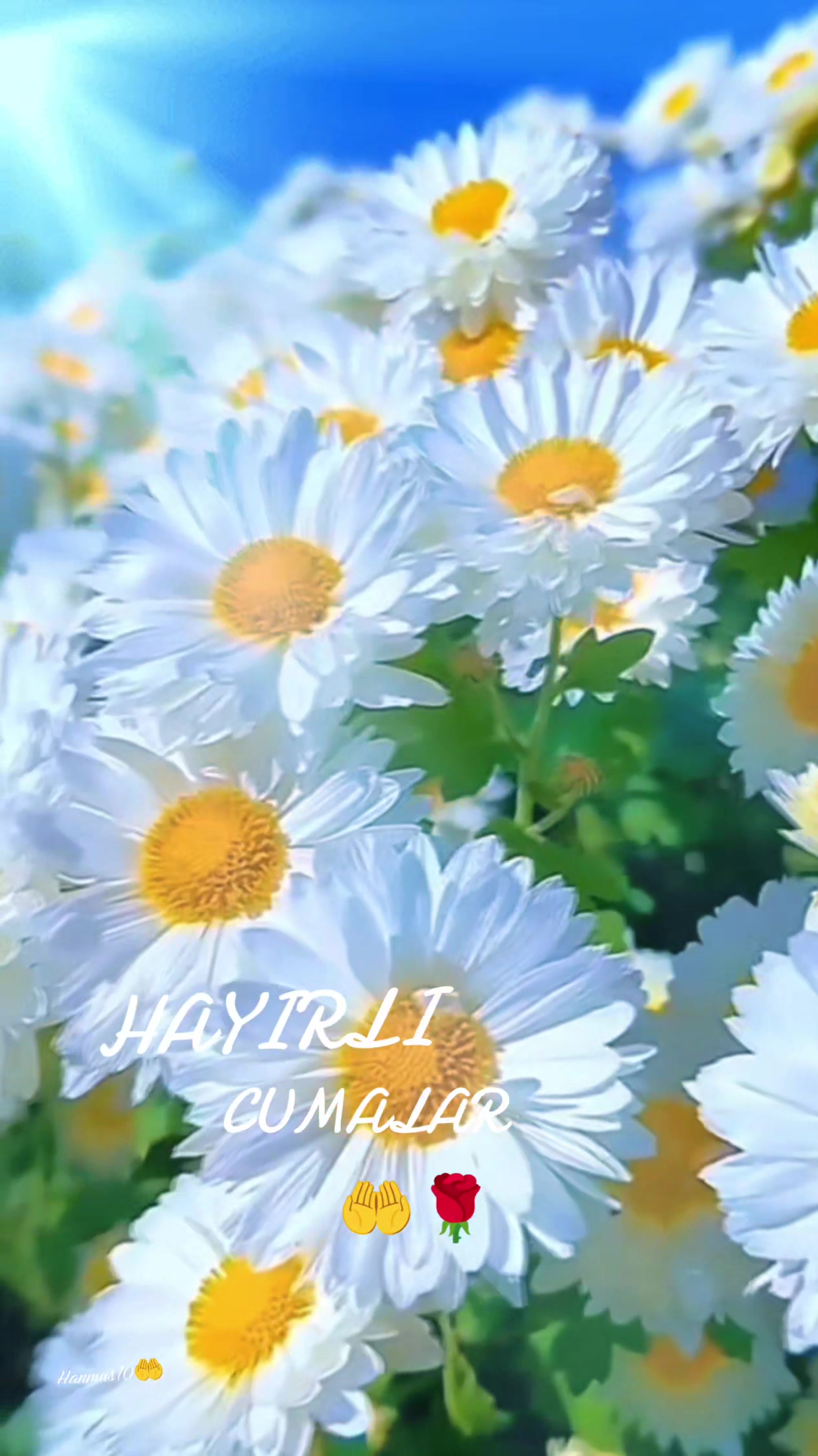 @๐ฆ Hanife ๐