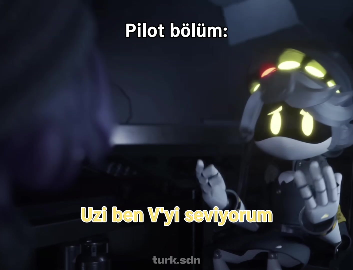 @T&uuml;rk SDN