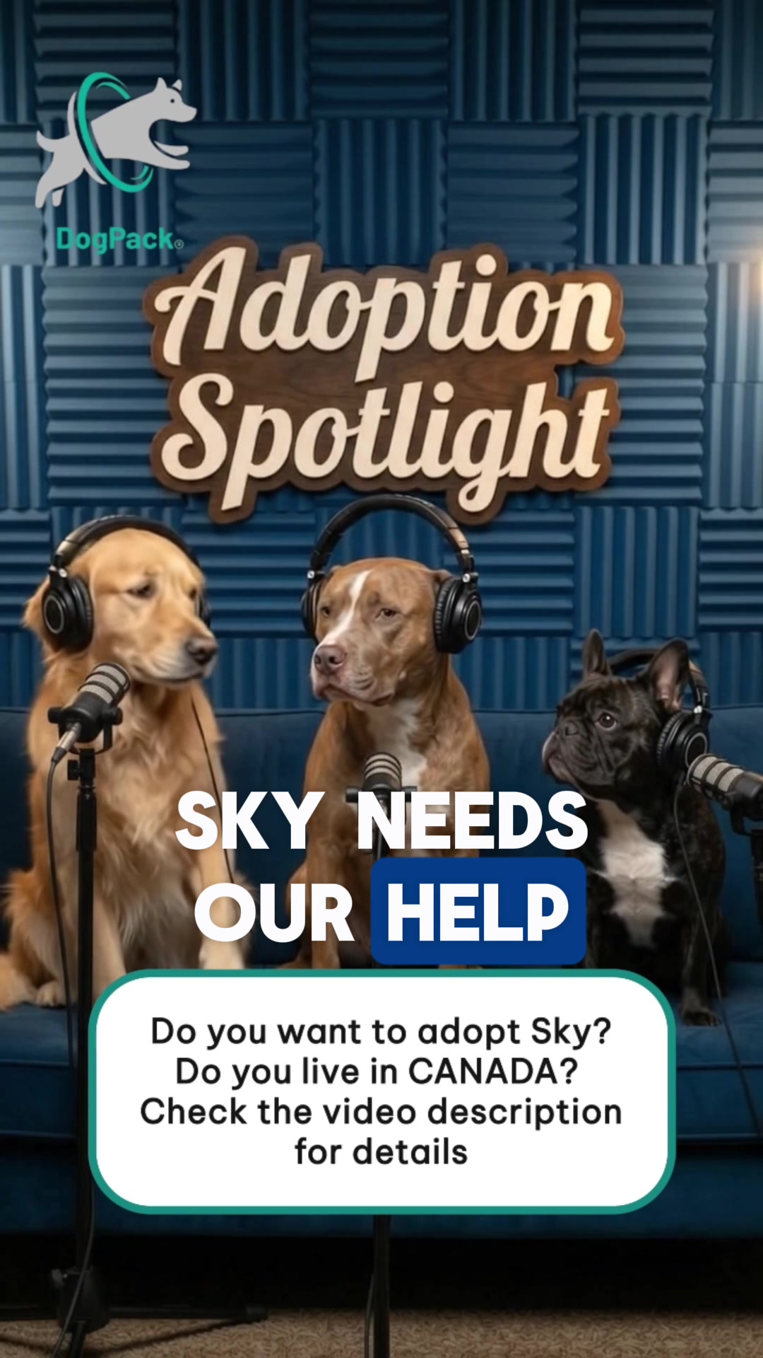 @DogPack
