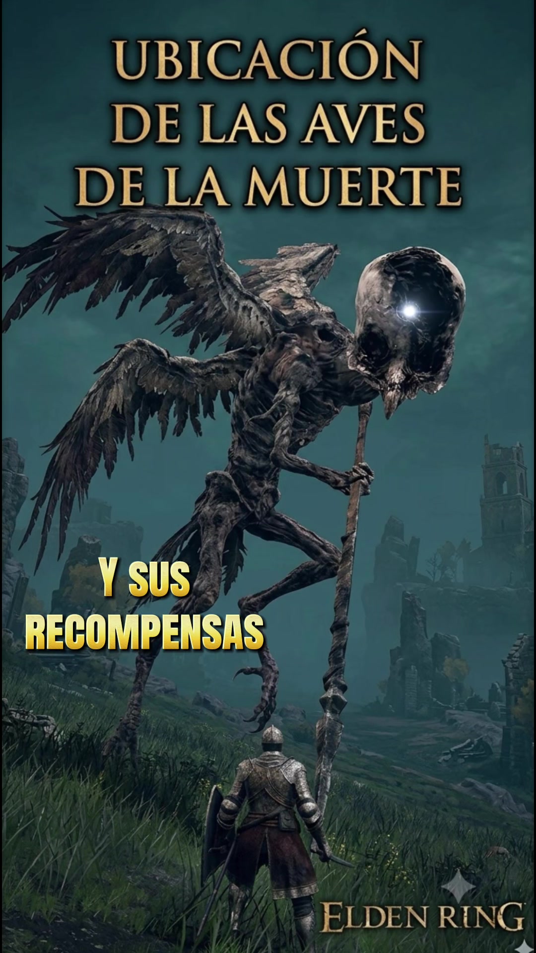 @mikeylobofurioso