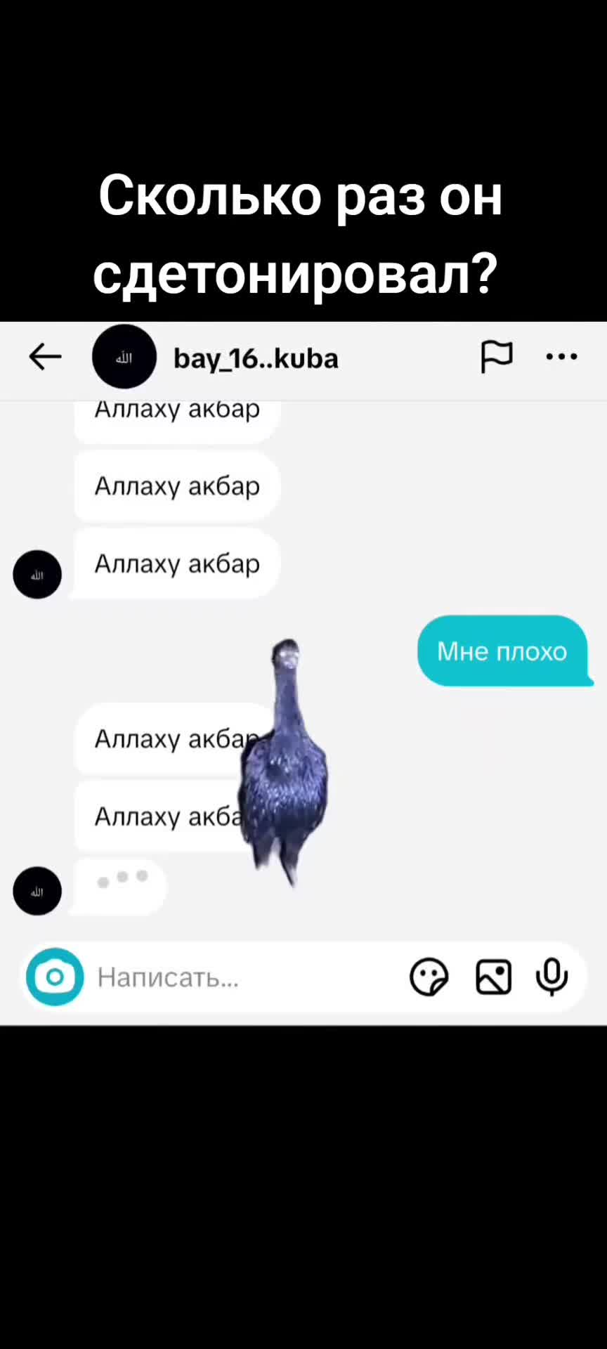 @КУРЬЕРЧИКИ ХАУС ВОЗРОЖДЕНИЕ🤩