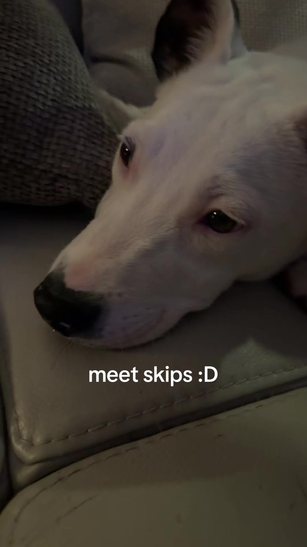 @pinhead