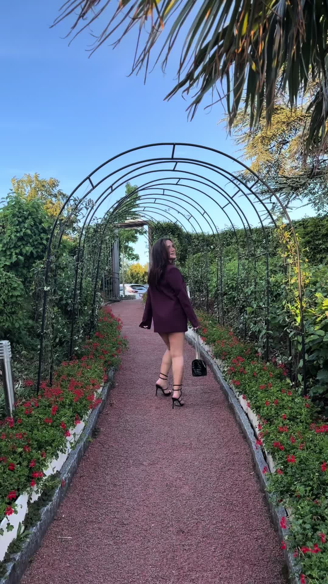 @aleks.lms