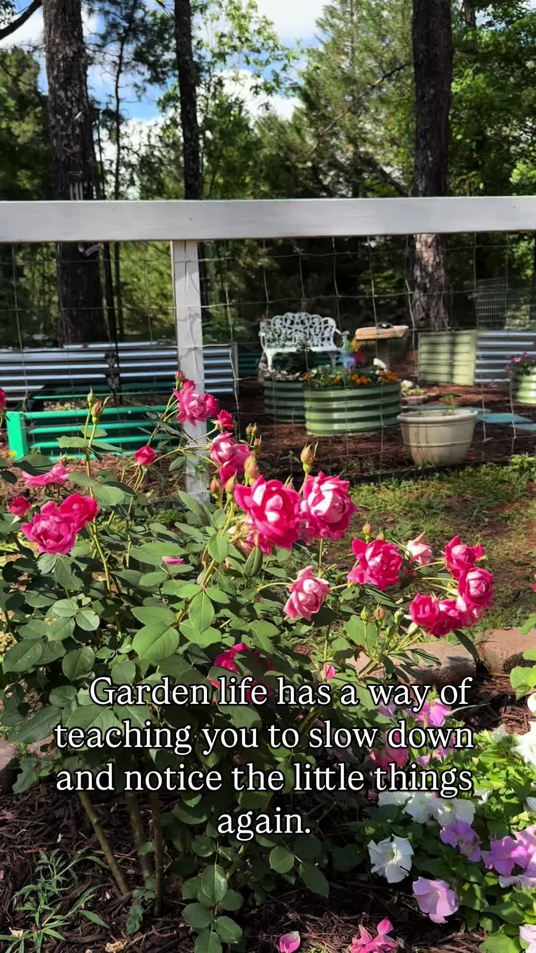@Cottageonwynn