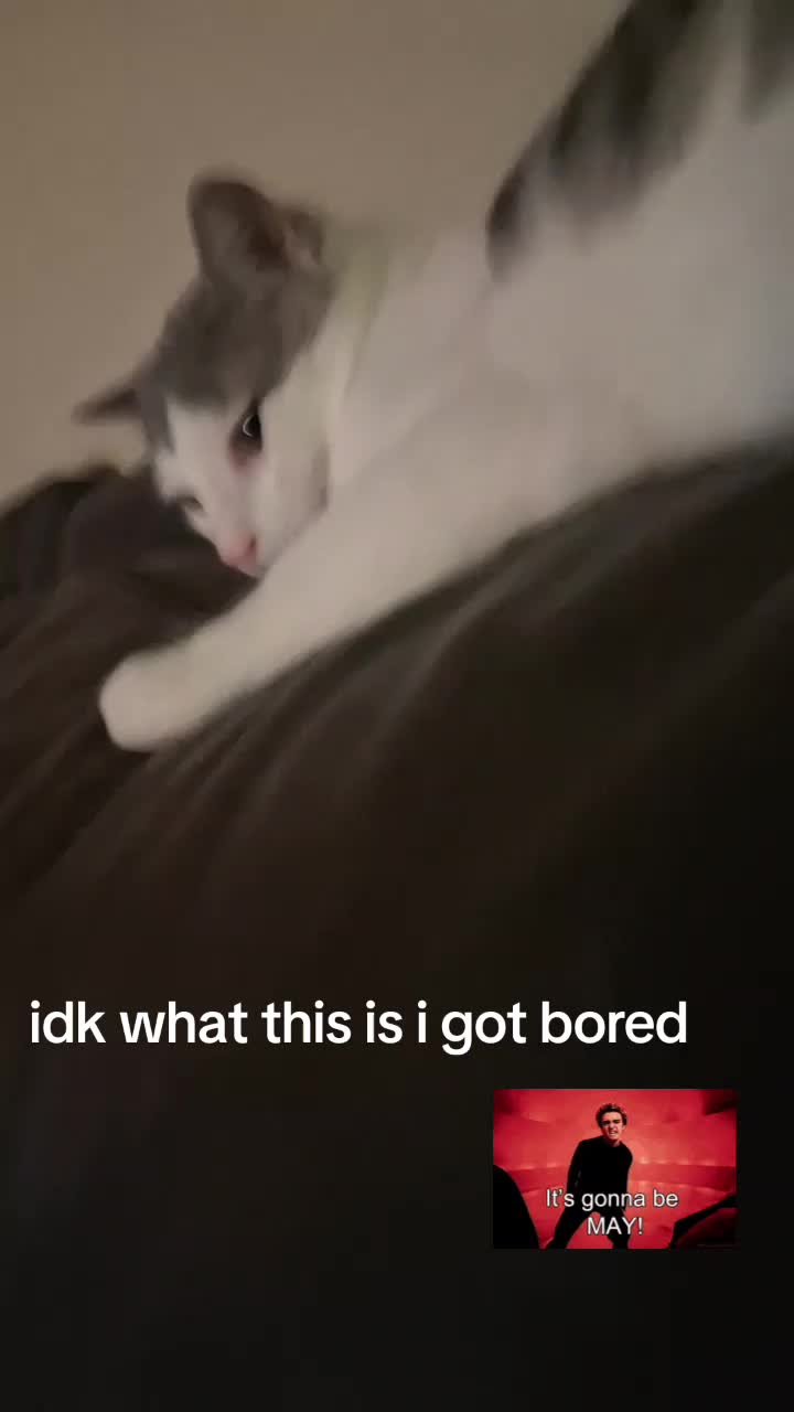 @Starᰔ
