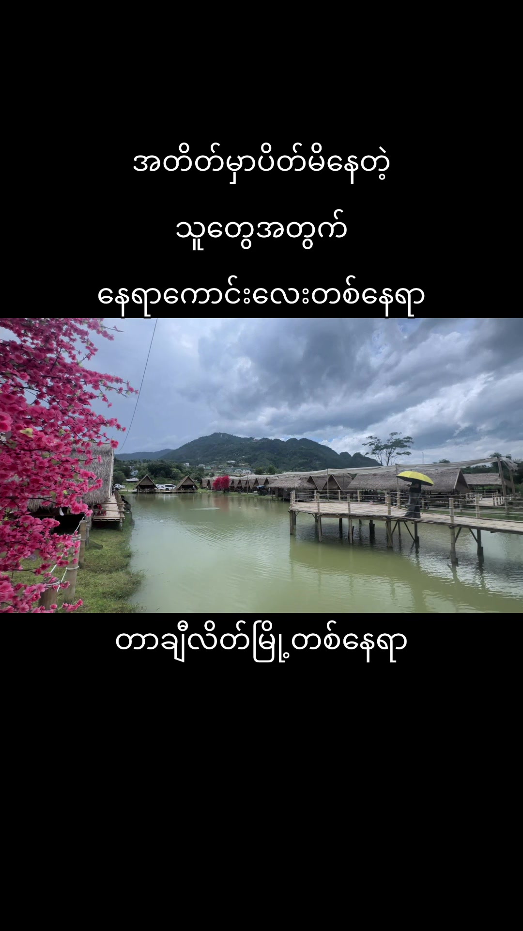 @MaiChan Vlog đđ¸