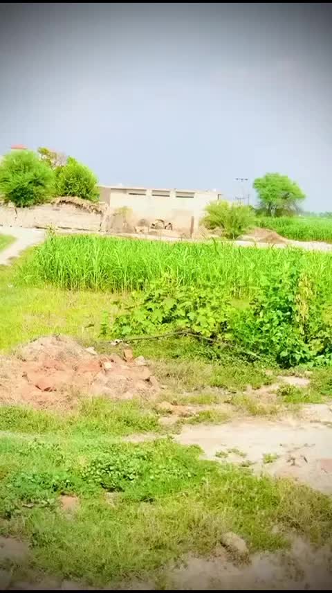 @Javed Ahmad🌹🥀🤎🦅