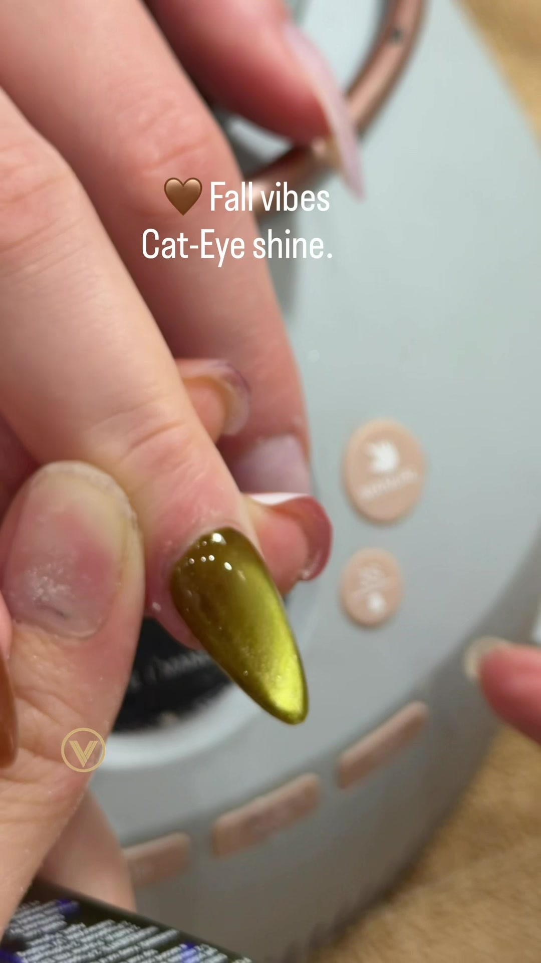 @velvet nails kw