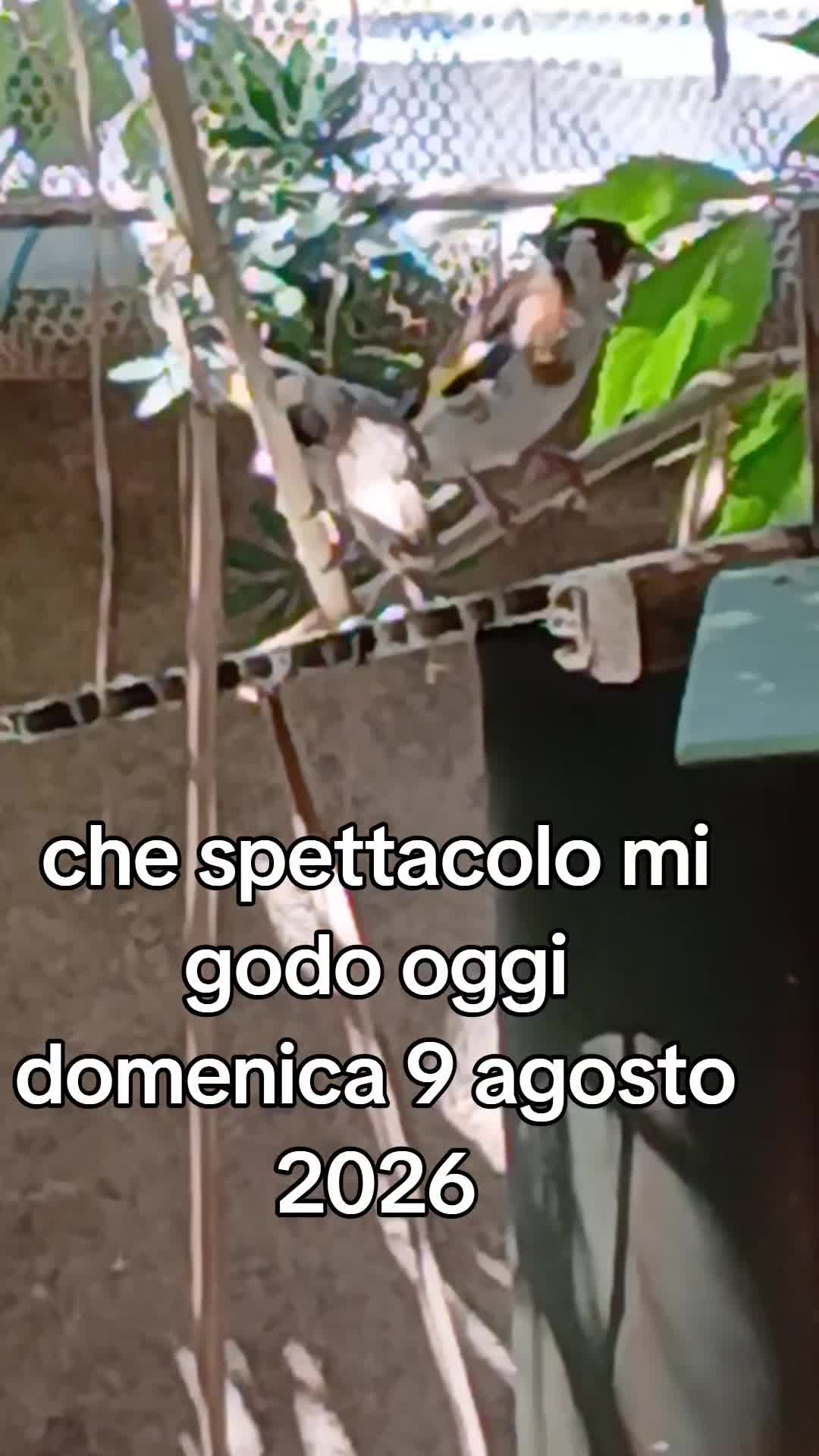 @Leonardo Dellacorte