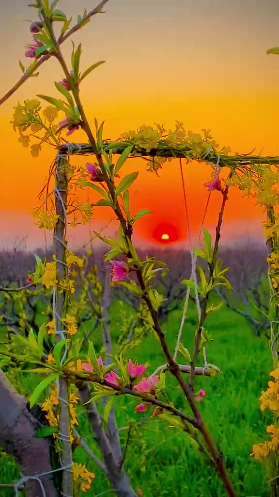 @𝐃𝐑_𝐌𝐀𝐋𝐀𝐋𝐀𝐈