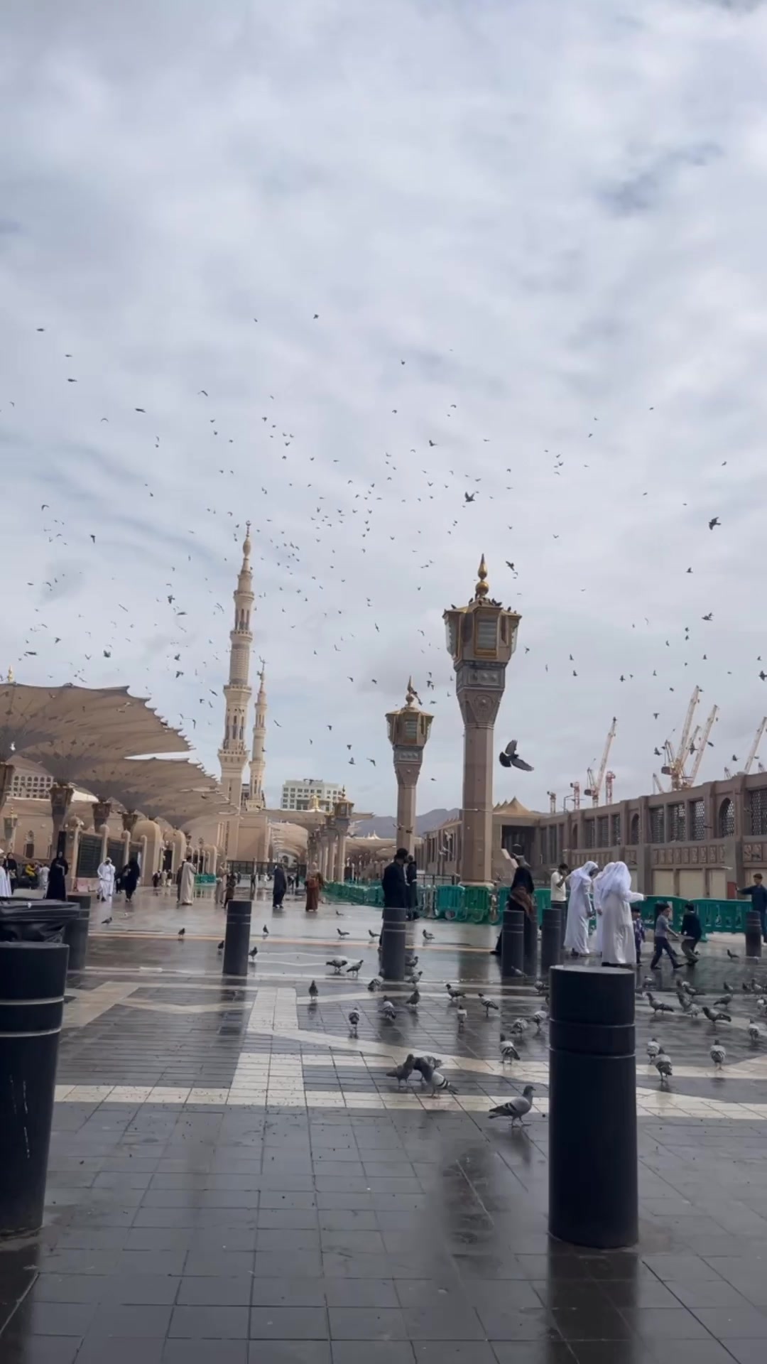 @فيصل الحربي📸📲.