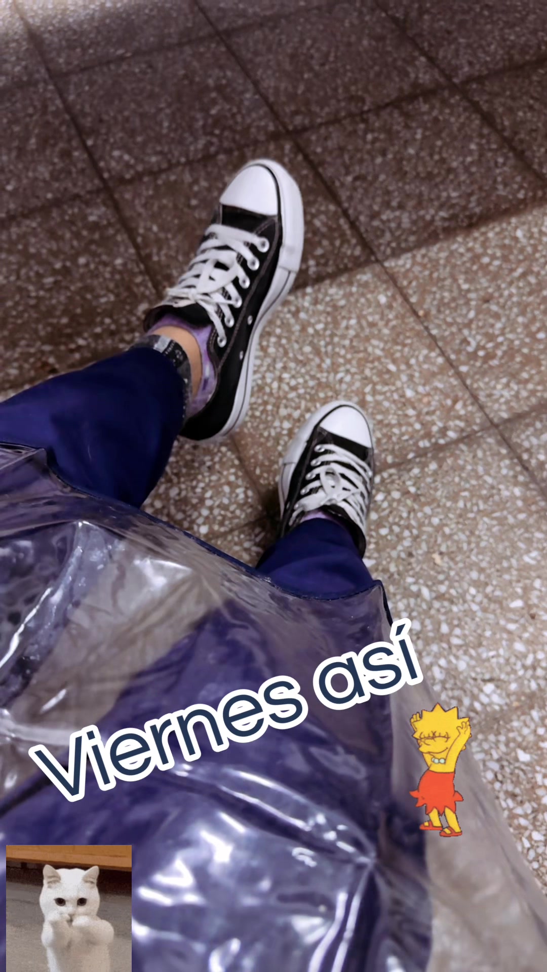 @VaneSsaLoyola