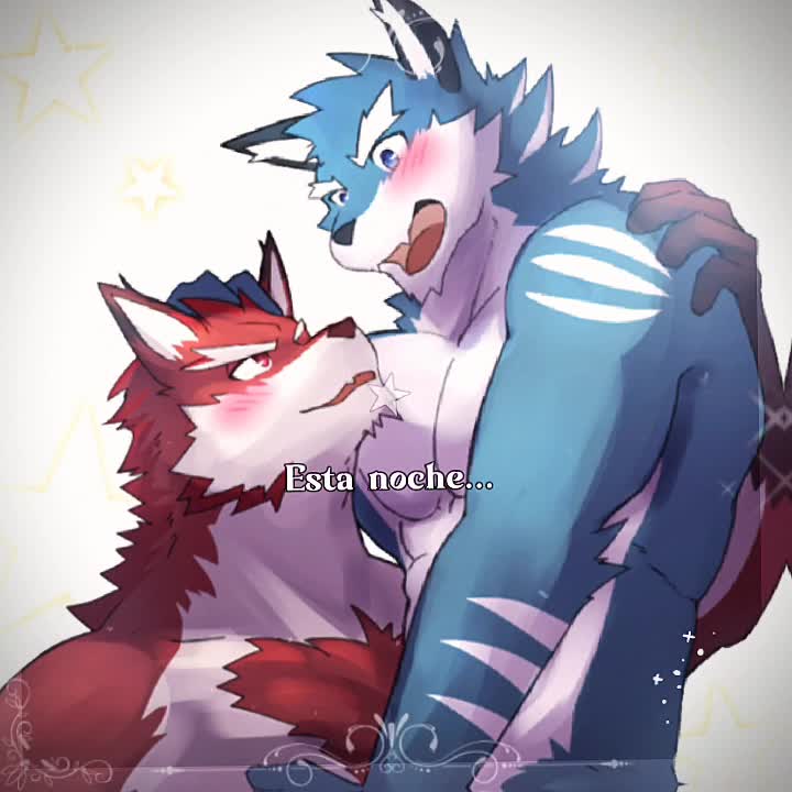@15fuquiro16