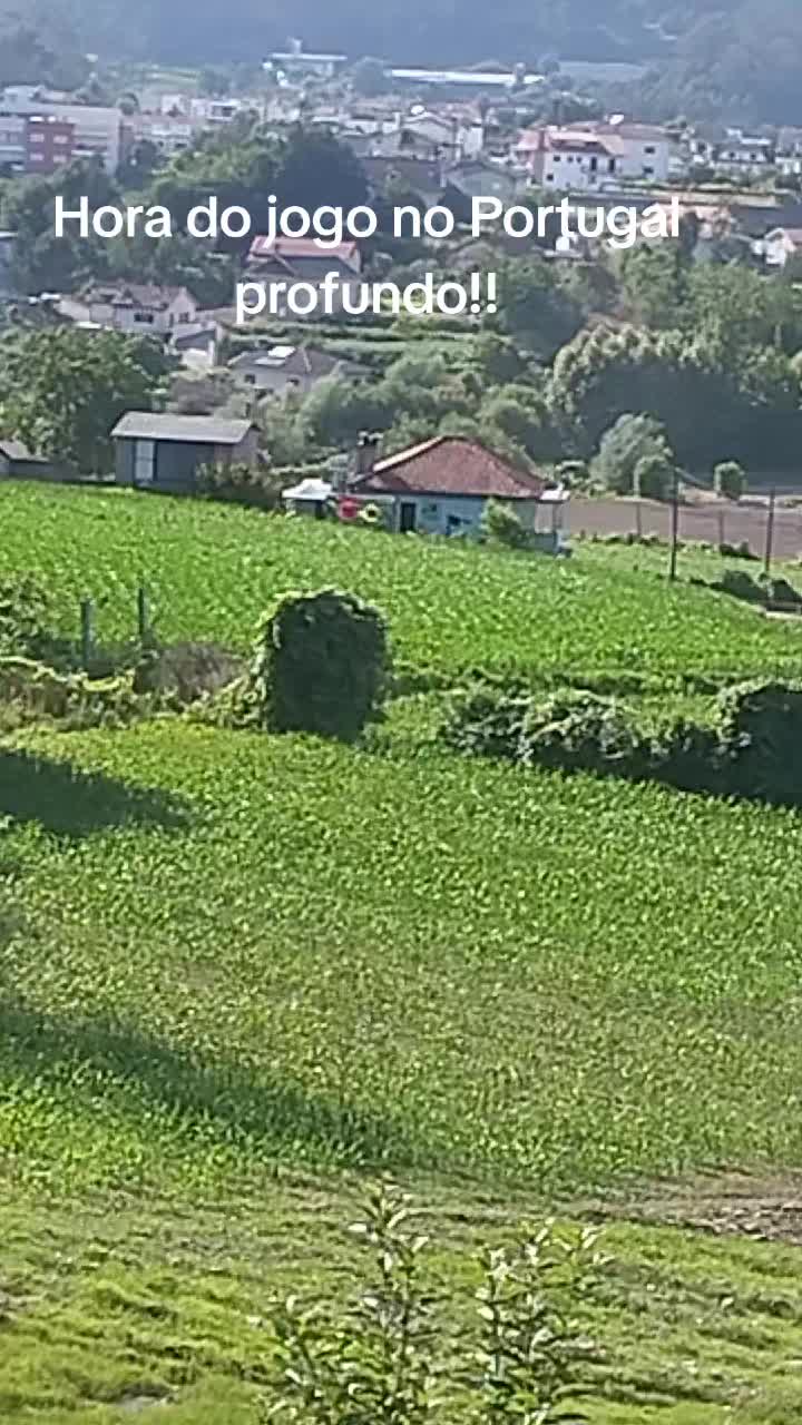 @Osmar Pereira