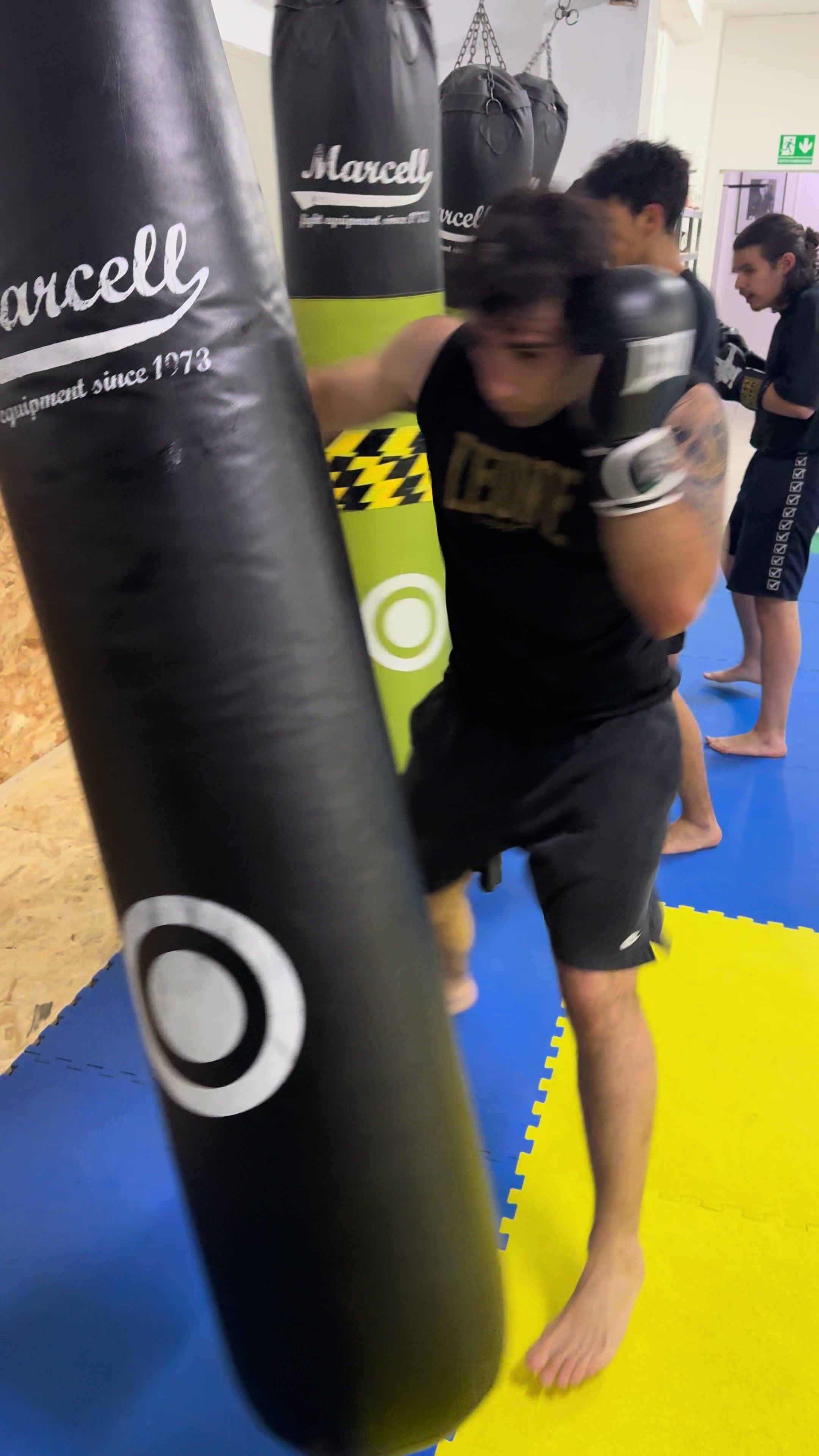 @Gianfranco Ponte Trainer