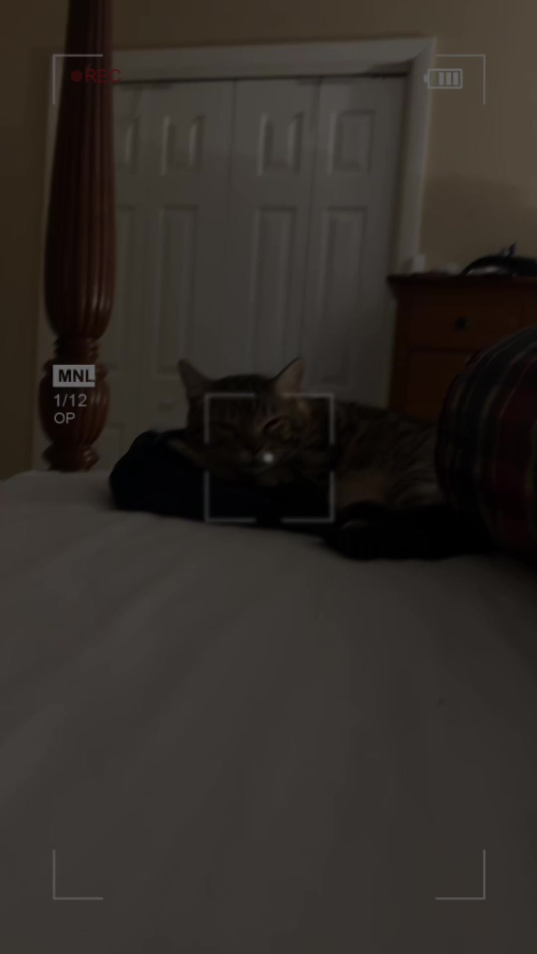 @Drew crazy cat guy