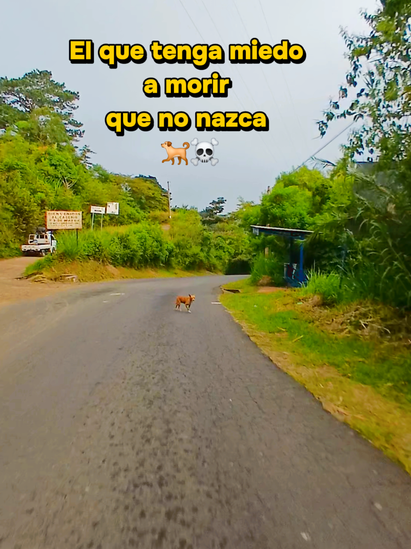 @Escobarcomasagua