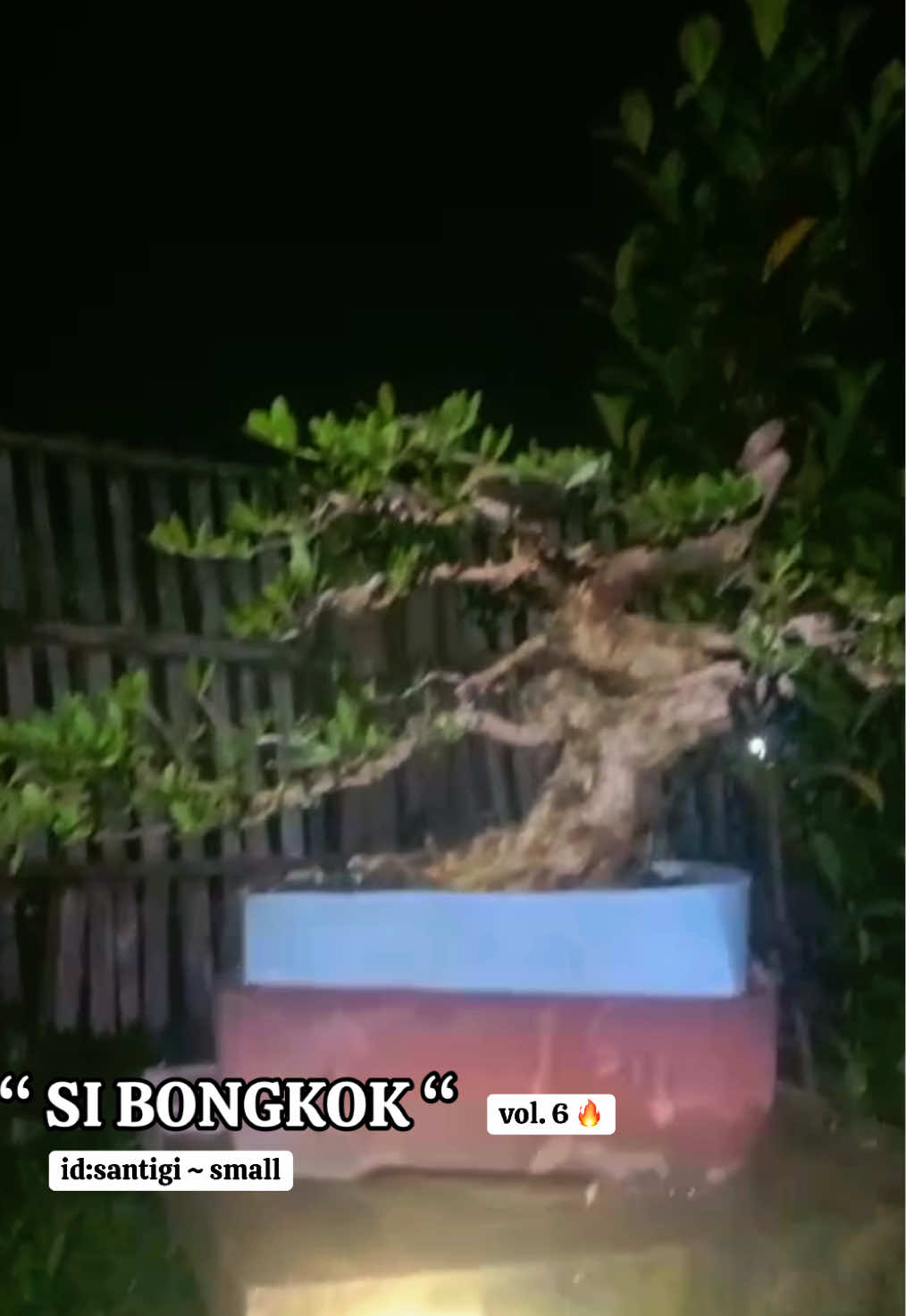 @warbonsai_purwodadi