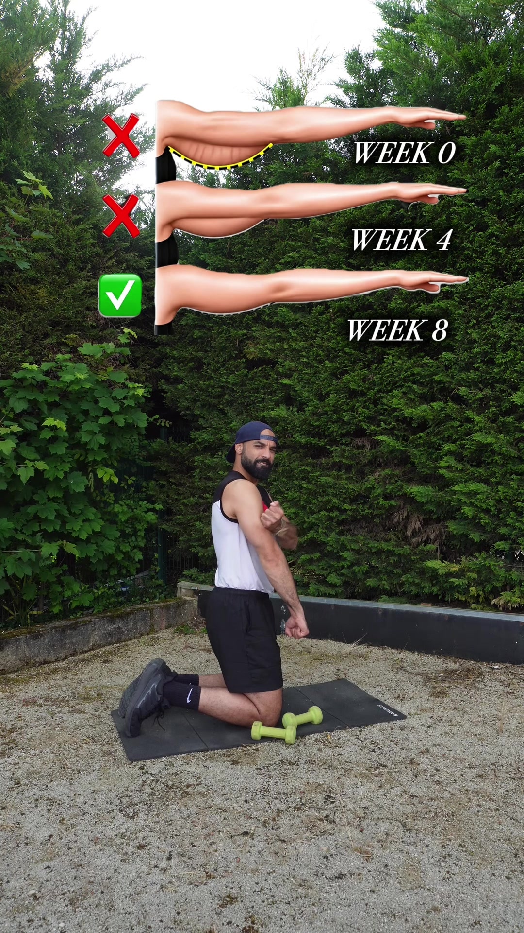 @MT trainer