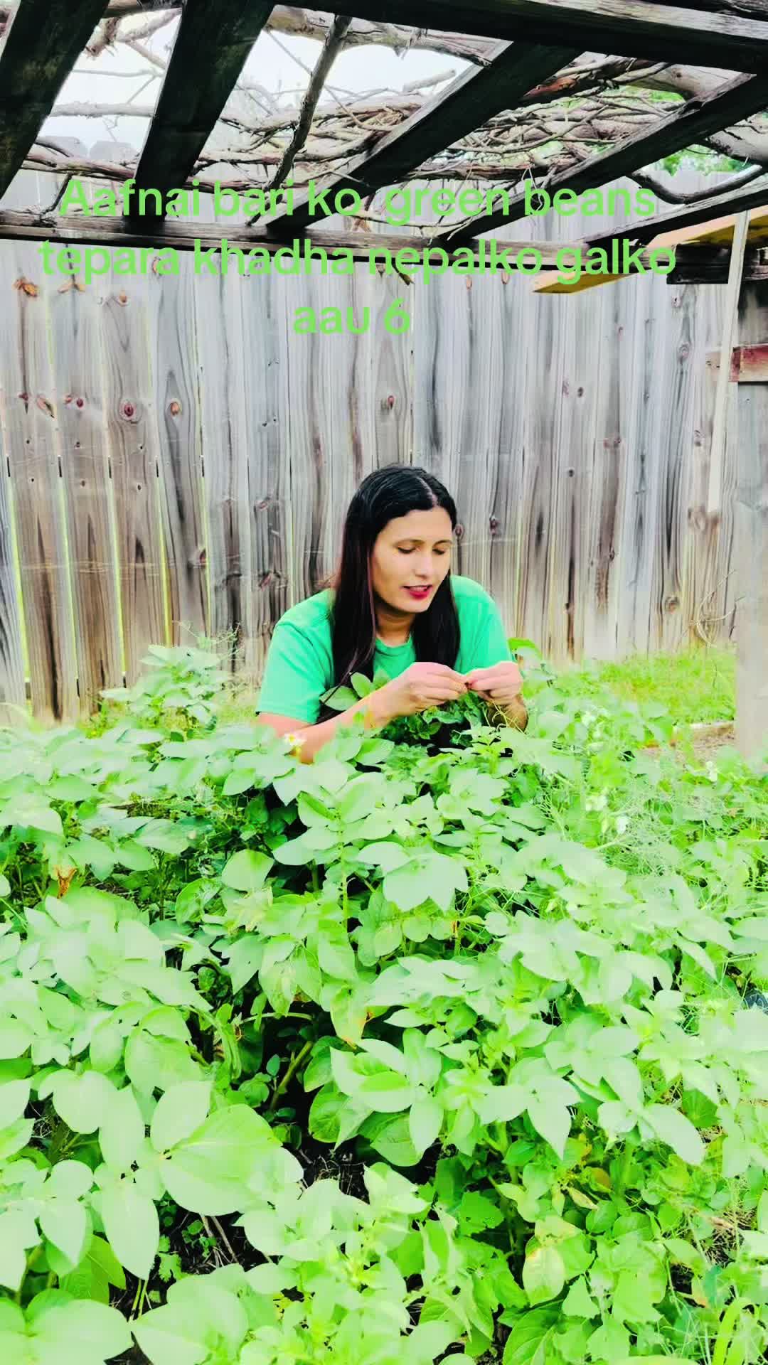 @Sarita
