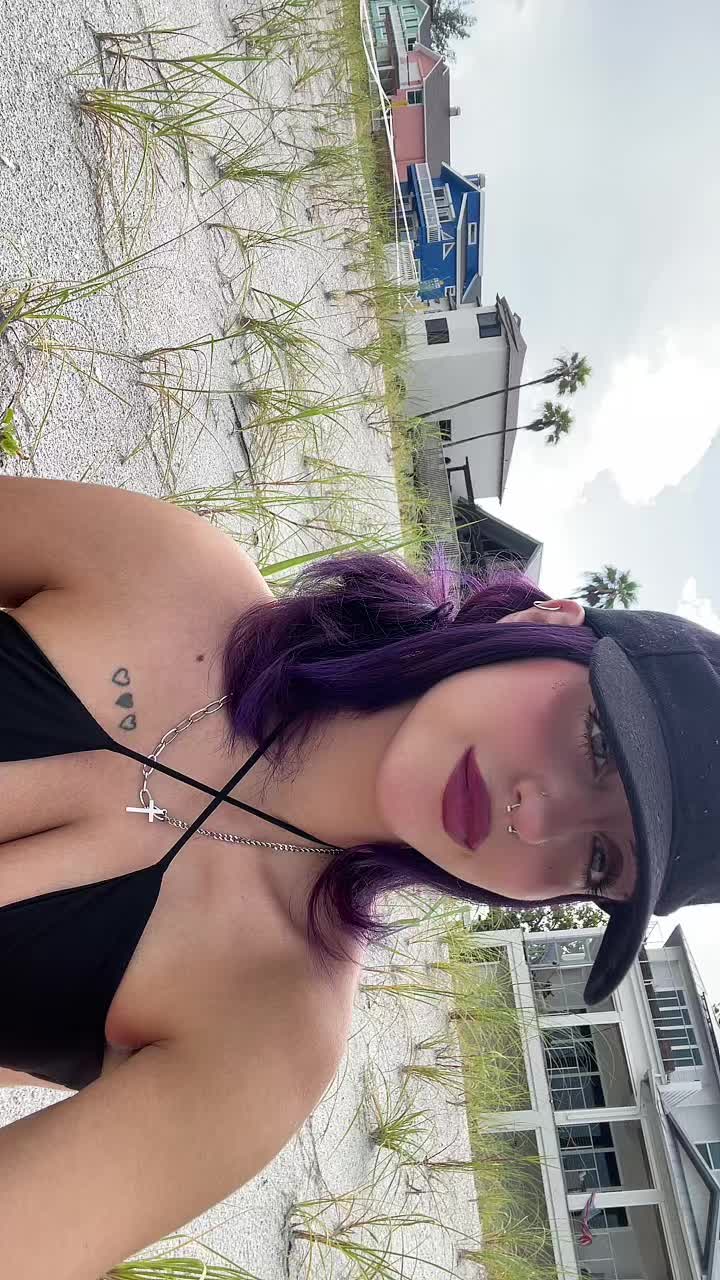 @zuri 𑣲⋆