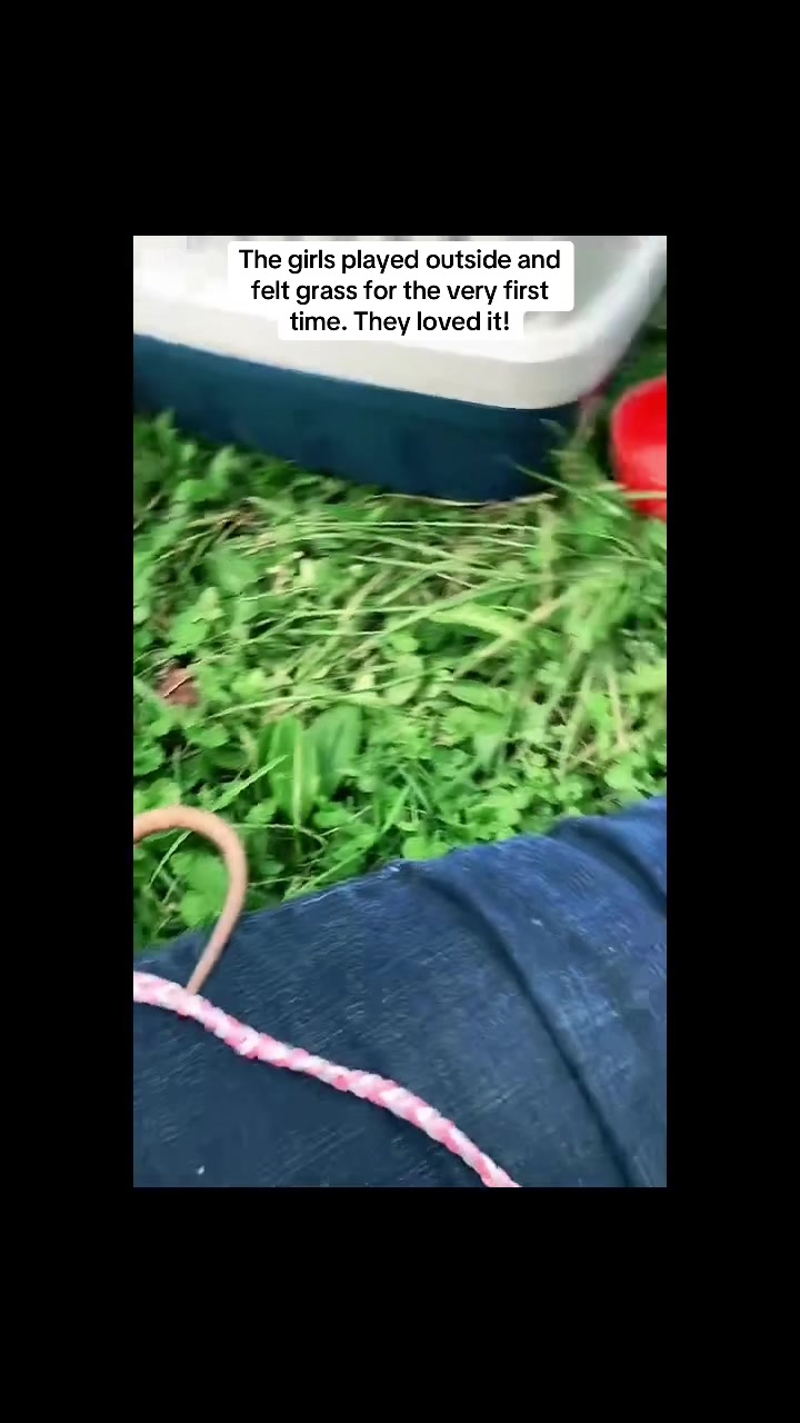 @ᑕOIᑎᕼOᒪIO