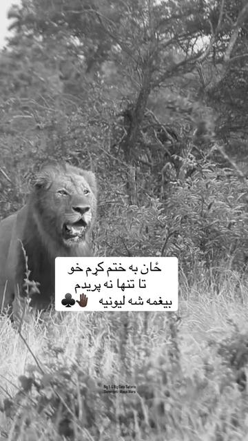 @🥷🏿کــــپــــچــــه🥷🏿