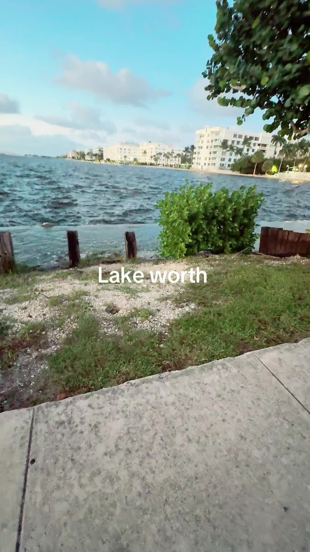 @IvoryCutt ❤️🧸🎮🎵