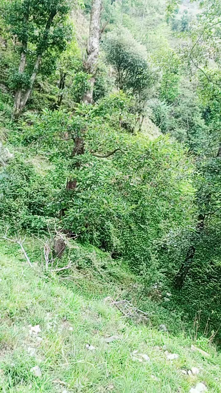 @सुन्दर सुदूरपश्चिम प्रदेश न. ७