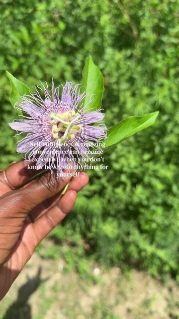 @EbonyWealthyWellness
