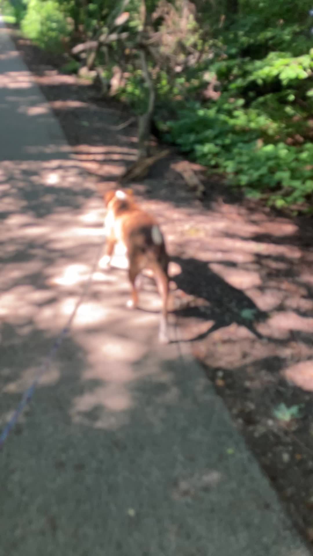 @Hikingwithstanley