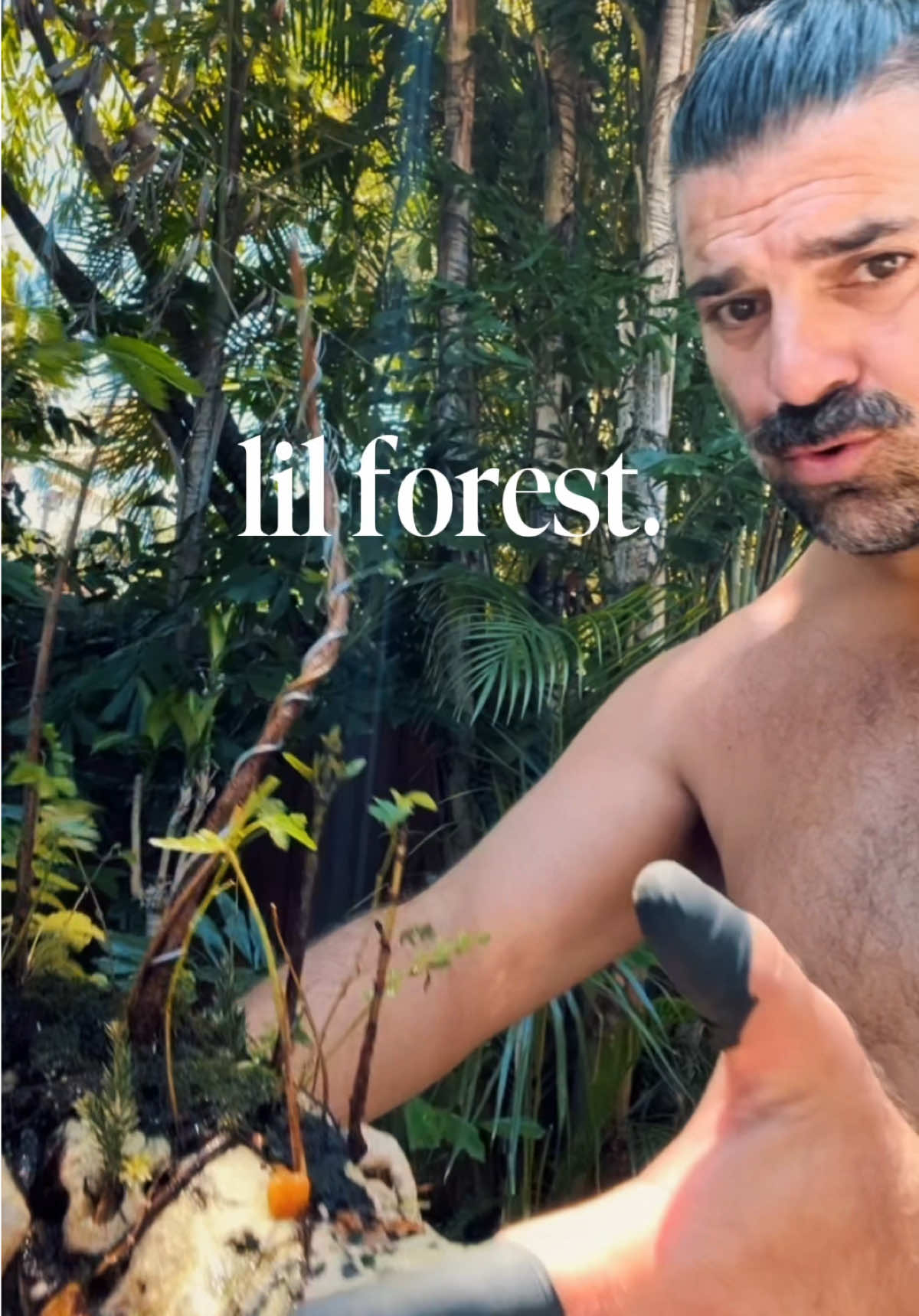 @bearfluence