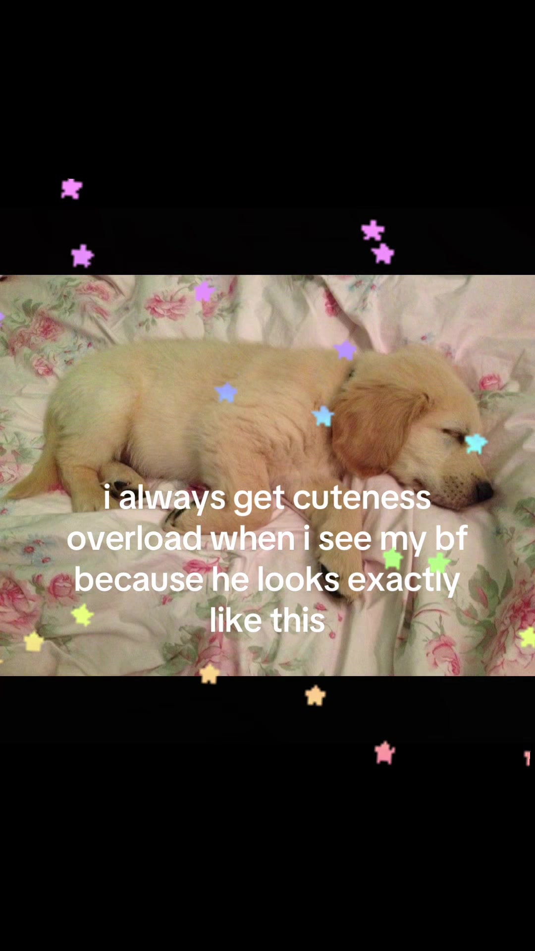 @andrea 🧁