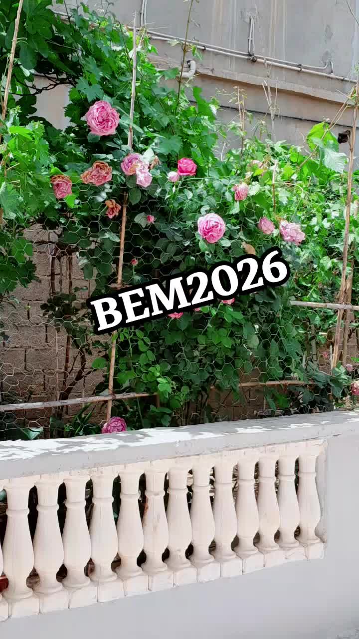 @المعلمة _فايزة @
