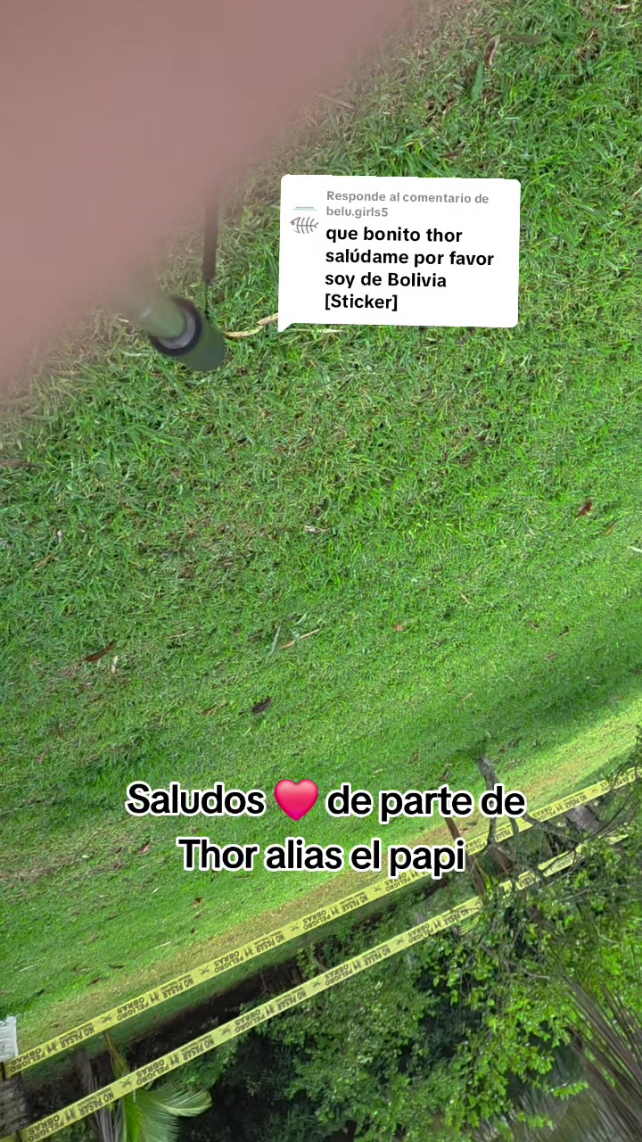 @Thor y Linda 🐾🐕❤️