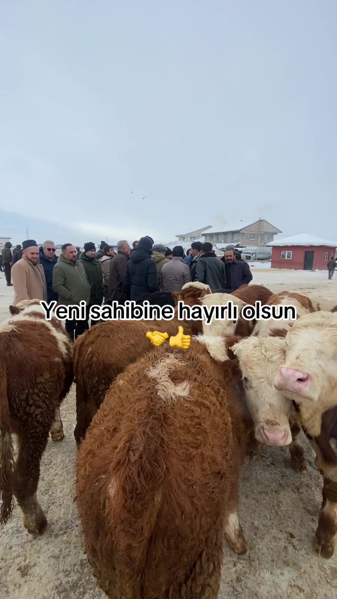 @yusuf yıldırım 04